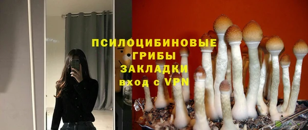 спайс Инсар