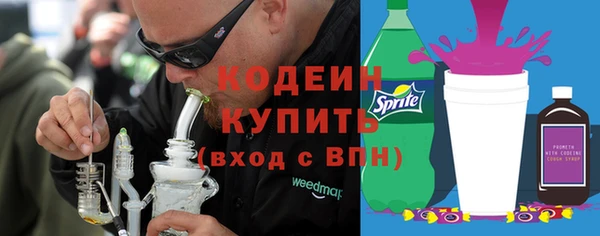 2c-b Каменка