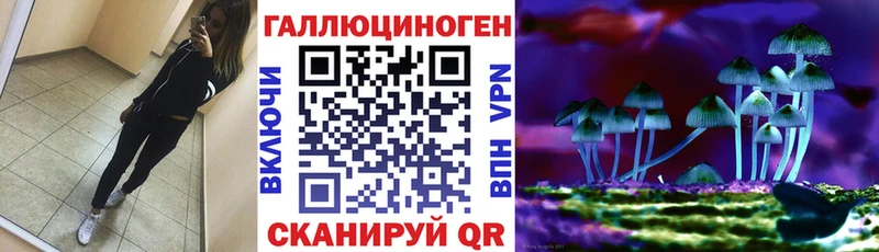 Купить  Касли  Галлюциногенные грибы мухоморы 